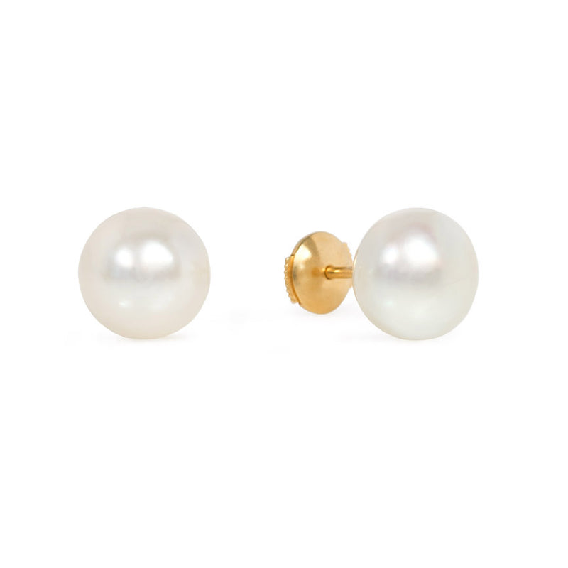 South Sea pearl stud earrings