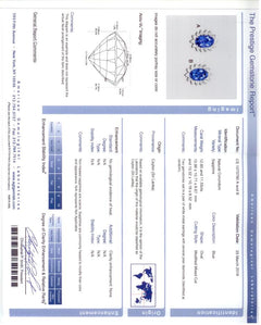Ceylon sapphire and diamond cluster earrings