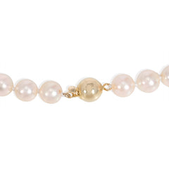Creamy pink Akoya cultured pearl necklace