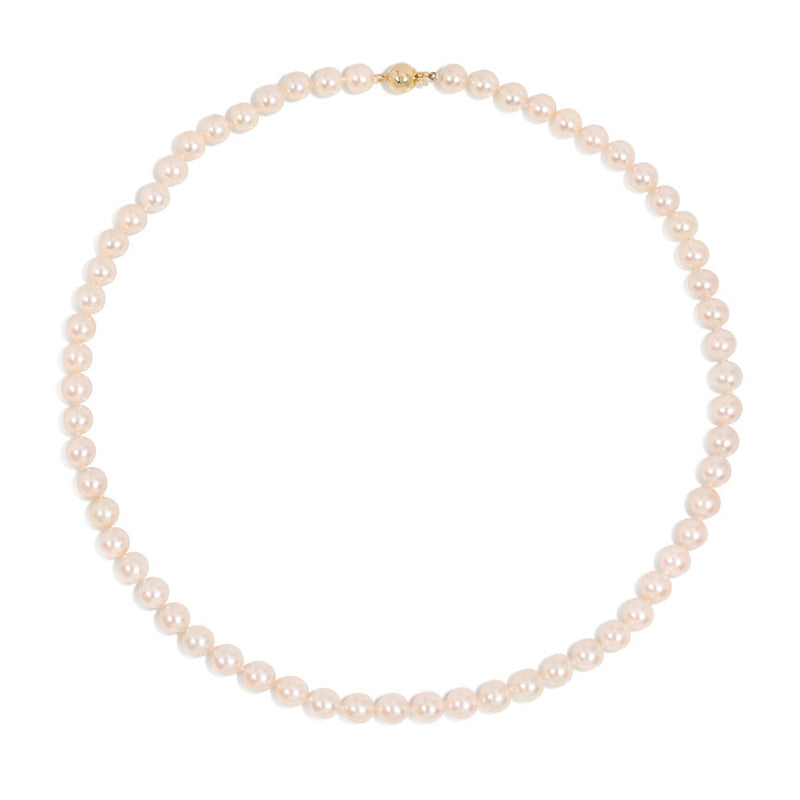Creamy pink Akoya cultured pearl necklace
