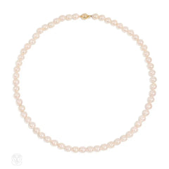 Creamy pink Akoya cultured pearl necklace