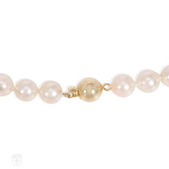 Creamy pink Akoya cultured pearl necklace