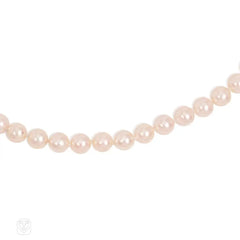 Creamy pink Akoya cultured pearl necklace