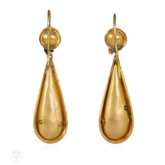 Georgian antique multigem insect earrings