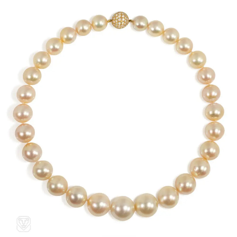 Golden South Sea Pearl Necklace