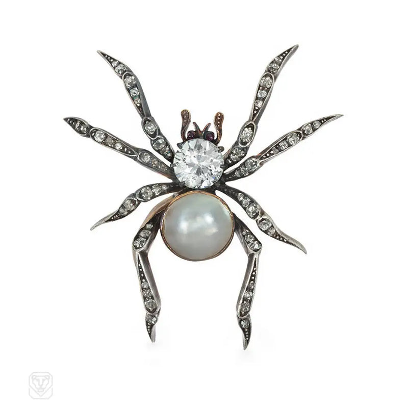 Victorian Pearl And Diamond Spider Brooch